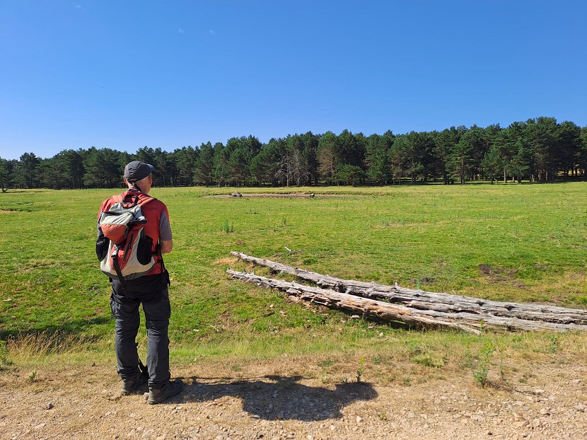 XX